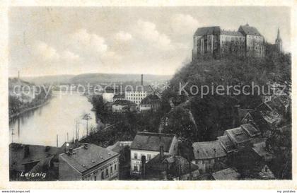 Leisnig Ansicht mit Schloss