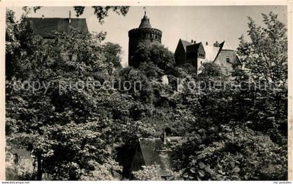Leisnig Burg-Mildenstein