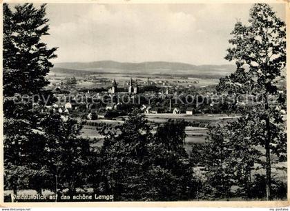 Lemgo Lippe NRW Waldausblick