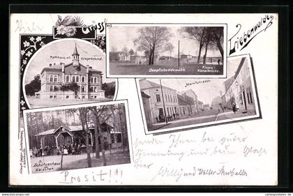AK Liebenwalde, Gasthaus Schützenhaus Haidchen, Dampfschneidemühle und Finow-Kanalbrücke, Rathaus mit Kriegerdenkmal