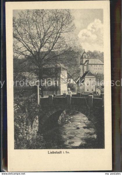 Liebstadt Teilansicht mit Bruecke