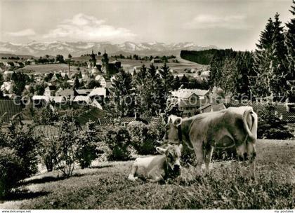 Lindenberg Allgaeu Panorama
