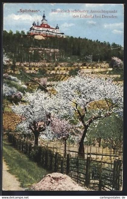 AK Lössnitz /Dresden, Spitzhaus bei Baumblüte
