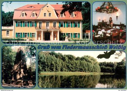 Weissig Lohsa Fledermausschloss Weissig Gastraum Turm See