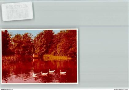 40092258 - Losheim , Saar