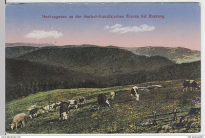(3236) AK Büssingen, Bussang, Lothringen, Grenze, Feldpost 1917