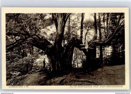 51117645 - Luebbecke , Westf