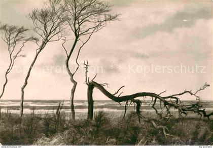 Luebz Strand