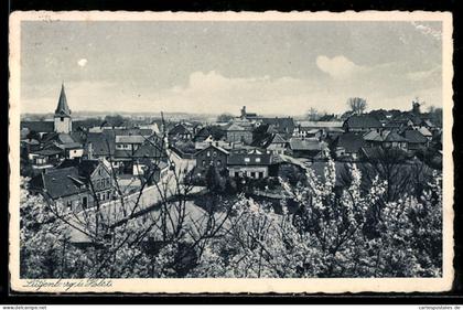 AK Lütjenburg /Holst., Ortsansicht mit Kirche und Wohnhäusern