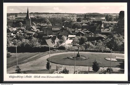 AK Lütjenburg i. Holst., Blick vom Bismarckturm