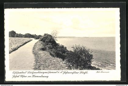 AK Lütjenburg / Ostsee, Uferweg an der Hohwachter Bucht