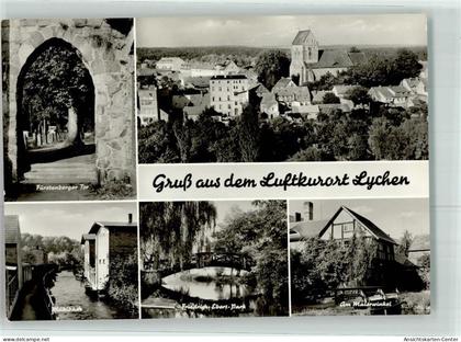 39460858 - Lychen