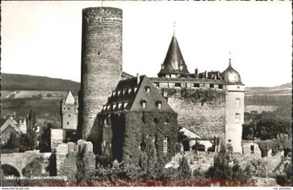 Mayen Genovevaburg