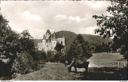 Mayen Schloss Buerresheim