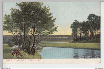 (84262) AK Partie an der Löcknitz, vor 1945