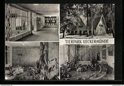 AK Ueckermünde, Tierpark Ueckermünde, Vivarium