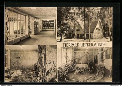 AK Ueckermünde, Tierpark Ueckermünde, Vivarium