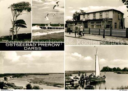 Darss Region Ostsee Esperort Erholungsheim Am Hafen Hafen Perowstrom