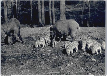 11010999 - Melle , Wiehengeb