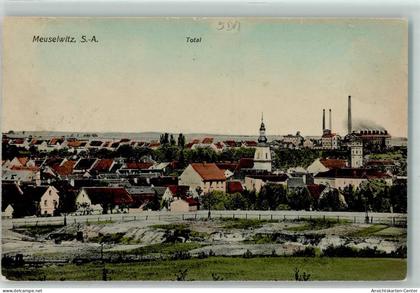 13176646 - Meuselwitz , Thuer