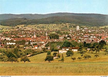 Michelstadt Panorama