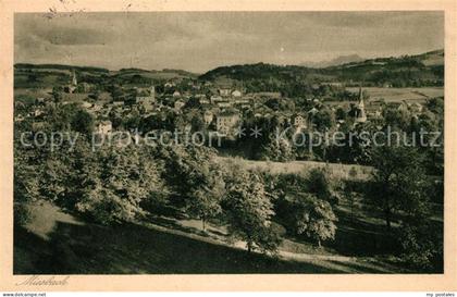 Miesbach Panorama