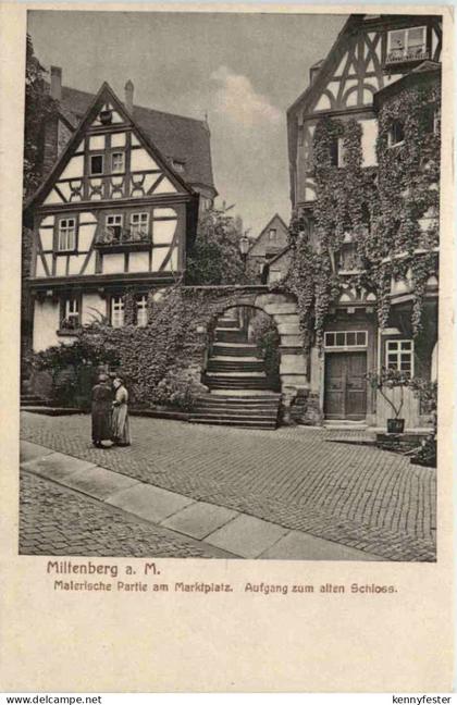 Miltenberg am Main, Partie am Marktplatz, Aufgang zum alten Schloss