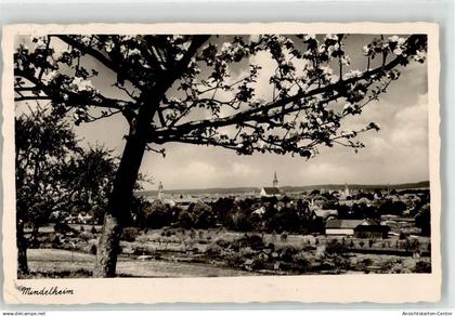 51885373 - Mindelheim