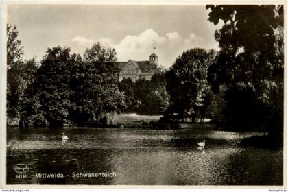Mittweida, Schwanenteich