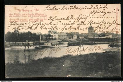 AK Mühlberg a. Elbe, Am grünenden Elbstrand