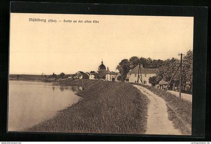 AK Mühlberg / Elbe, Partie an der alten Elbe