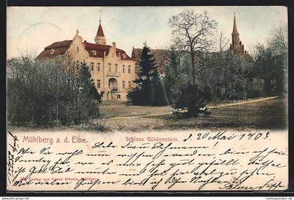 AK Mühlberg /Elbe, Schloss Güldenstern mit Umgebung