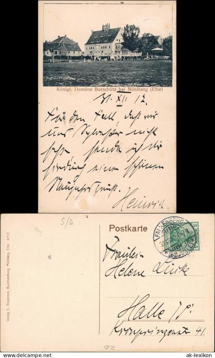 Ansichtskarte Altenau-Mühlberg/Elbe Miłota Domäne Borschütz 1912