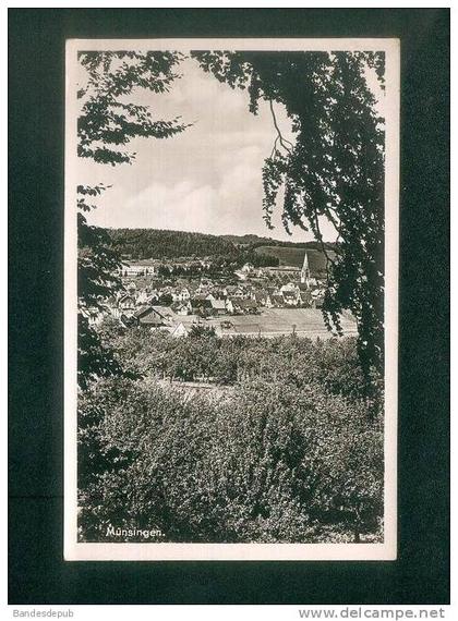 Allemagne - MÜNSINGEN - Schwäb. Alb. ( Schäfer )