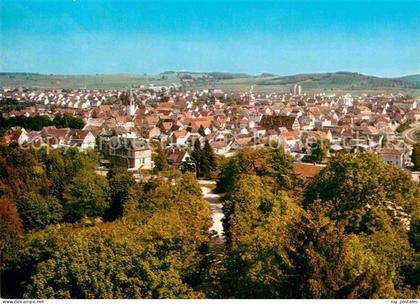 Muensingen Panorama