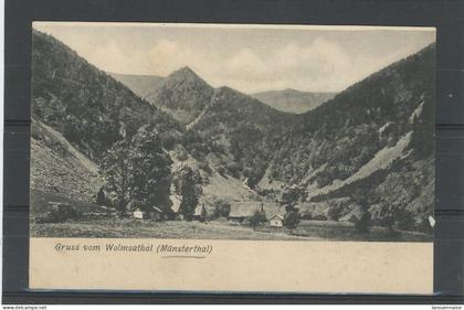 ALLEMAGNE - MUENSTERTAL -GRUSS VOM WOLMSATHAL