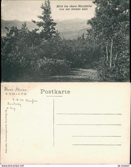 Münstertal/Schwarzwald Panorama-Ansicht Blick ins Münstertal  kleinen Gals 1910