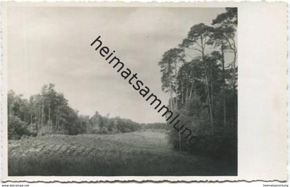 Im Nauener Forst - Foto-AK 40er Jahre