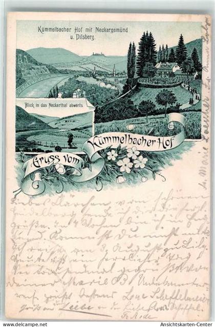 13500865 - Neckargemuend