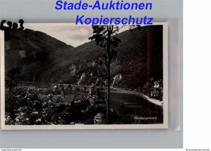 50275180 - Neckargemuend