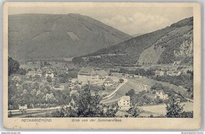 51472815 - Neckargemuend