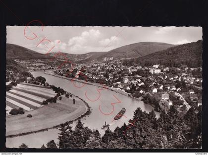 Luftkurort Neckargemünd - fotokaart