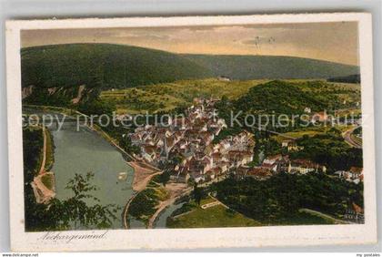 Neckargemuend Panorama