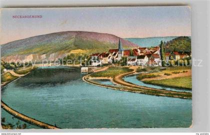 Neckargemuend Panorama