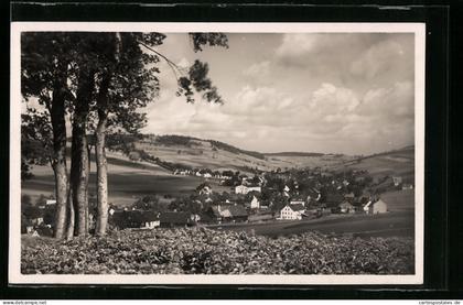 AK Neudorf / Erzgeb., Totalansicht