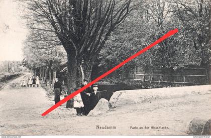 AK Neudamm Neumark Debno Hirschlanke a Darrmietzel Quartschen Küstrin Kostrzyn Bärwalde Mieszkowice Vietz Witnica Soldin