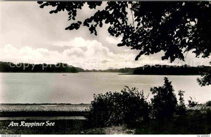 Neuruppin Seepanorama