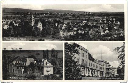 Niederbieber Wied - Neuwied