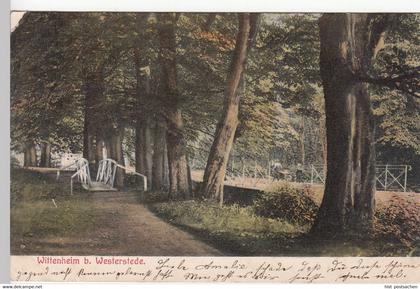 (110530) AK Wittenheim bei Westerstede, Parkanlage, 1907