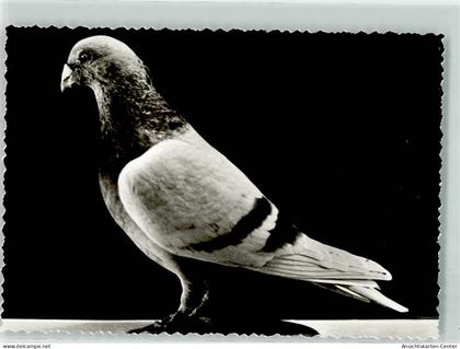 13912157 - Varel , Jadebusen